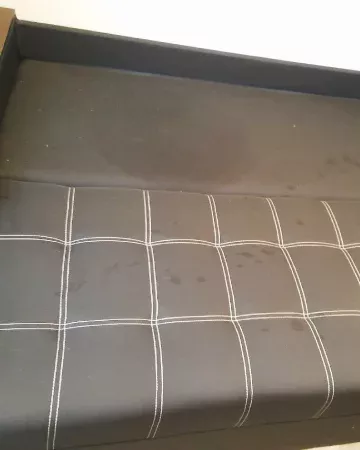 Диван до професійної хімчистки